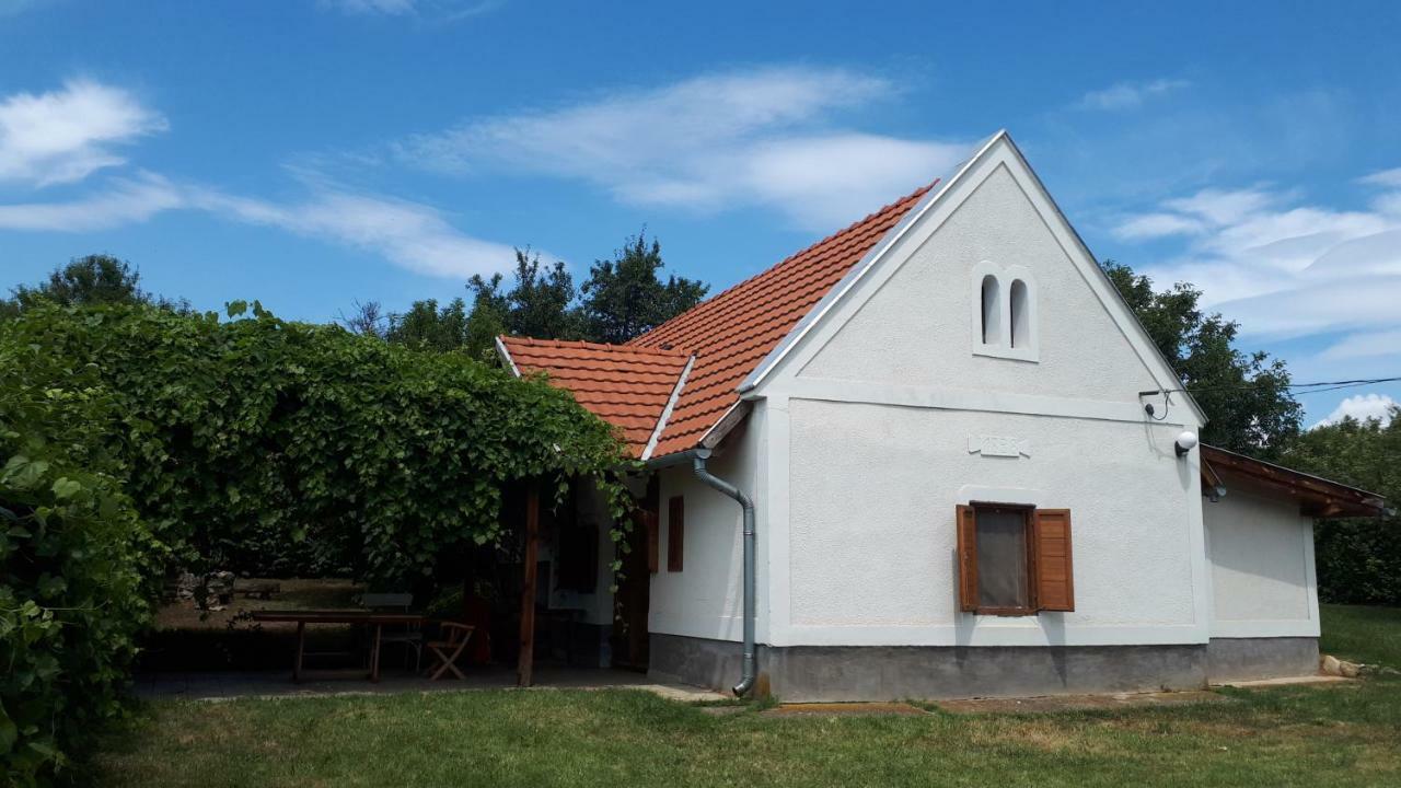 Káli 120 Tagyon