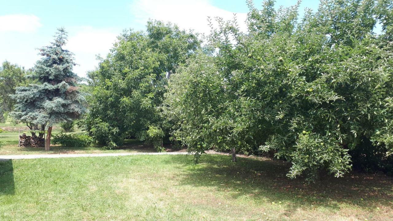 Káli 120 *